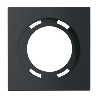 Cover plate Busch-Infolicht®  black matt - Platform 63