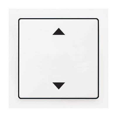 Cover plate with legend Symbol "light" with Small Transparent Calotte for Switch/push button, Single rocker aluminium silver - impuls