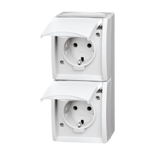 SCHUKO® Double socket with labelling field with Hinged Lid alpine white - ocean