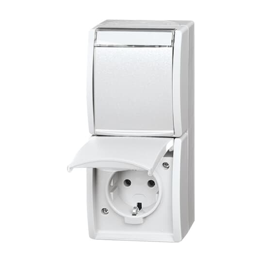 SCHUKO® Double socket with labelling field with Hinged Lid 16 A alpine white  - ocean