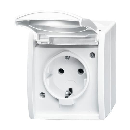 SCHUKO® Socket with labelling field with Hinged Lid alpine white - ocean