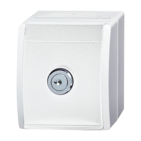 SCHUKO® Socket with labelling field with Hinged Lid and Cylinder Lock with simultaneous locking alpine white - ocean