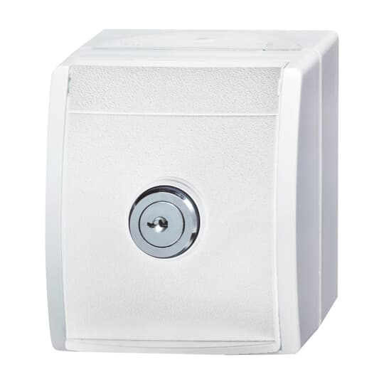SCHUKO® Socket with labelling field with Hinged Lid and Cylinder Lock with different locking alpine white - ocean