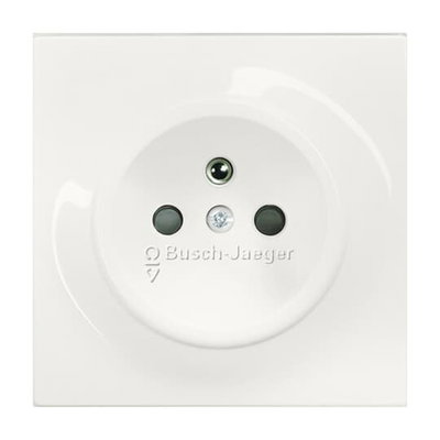 Socket insert alpine white - impuls