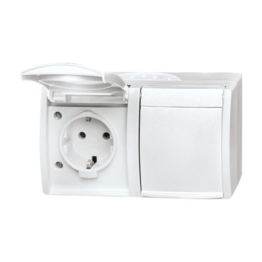 SCHUKO® Double socket with labelling field with Hinged Lid alpine white - ocean