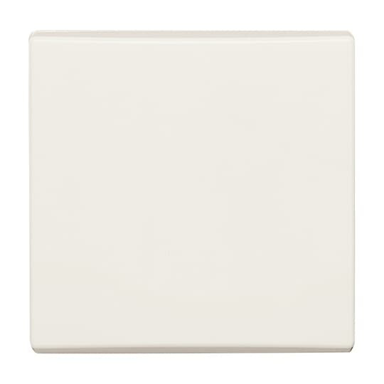 Rocker None for Switch/push button, Single rocker white - Allwetter 44 (IP 44)