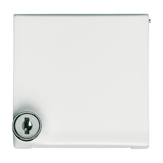 Intermediate Ring with Hinged Lid Cylinder Lock with different locking Cover plates Busch-Duro 2000® SI and Reflex SI alpine white - Allwetter 44 (IP 44)