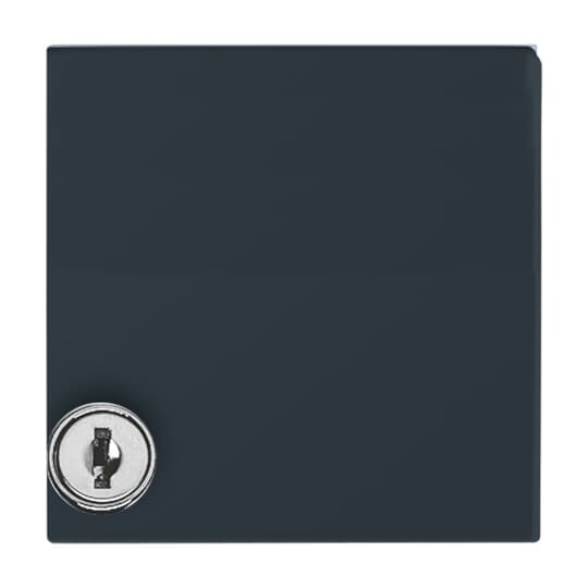 Intermediate Ring with Hinged Lid Cylinder Lock with different locking Cover plates Busch-Duro 2000® SI and Reflex SI anthracite - Allwetter 44 (IP 44)
