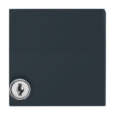 Intermediate Ring with Hinged Lid Cylinder Lock with different locking Cover plates Busch-Duro 2000® SI and Reflex SI anthracite - Allwetter 44 (IP 44)