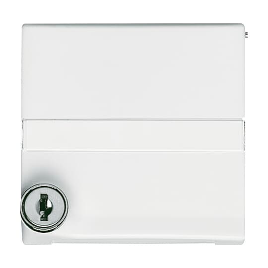 Intermediate Ring with labelling field with Hinged Lid Cylinder Lock with different locking Cover plates Busch-Duro 2000® SI and Reflex SI alpine white - Allwetter 44 (IP 44)