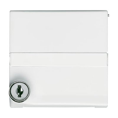 Intermediate Ring with labelling field with Hinged Lid Cylinder Lock with different locking Cover plates Busch-Duro 2000® SI and Reflex SI alpine white - Allwetter 44 (IP 44)