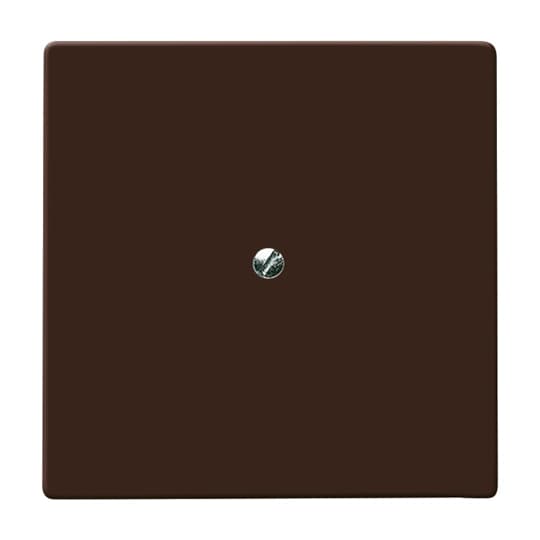 Cover plate for Blind plate brown - Allwetter 44 (IP 44)