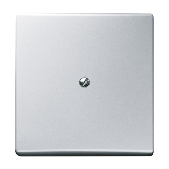 Cover plate for Blind plate aluminium silver - Allwetter 44 (IP 44)