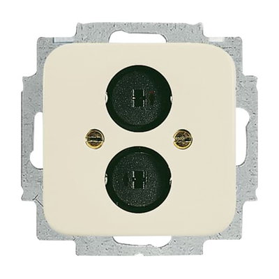 Cover plate Loudspeaker 2 gang white - Busch-Duro 2000 SI