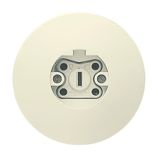 Busch-Perilex® Socket with protective contact white