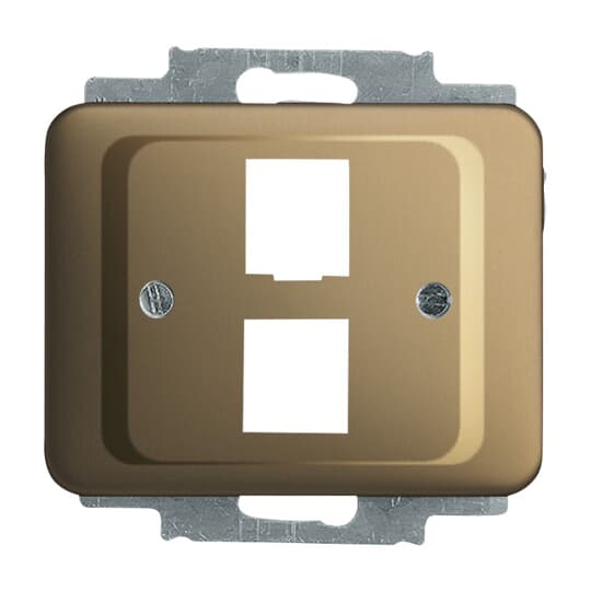 Cover plate Modular Jack 2 gang bronze - alpha