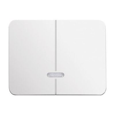 Control Element for Dimmer Two-part button with Neon lamp studio white - alpha