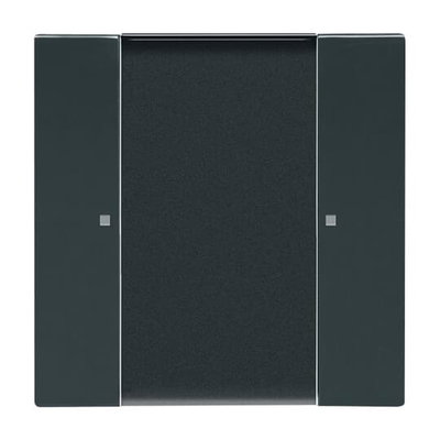 Control Element 1-gang for Switch/dimmer Wireless anthracite - Platform 63