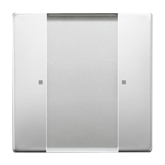 Control Element 1-gang for Switch/dimmer Wireless stainless steel - Pure Stainless Steel
