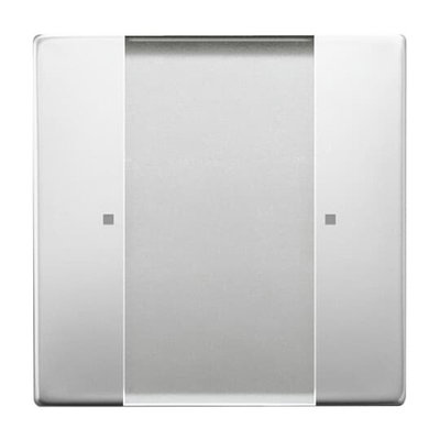 Control Element 1-gang for Switch/dimmer Wireless stainless steel - Pure Stainless Steel