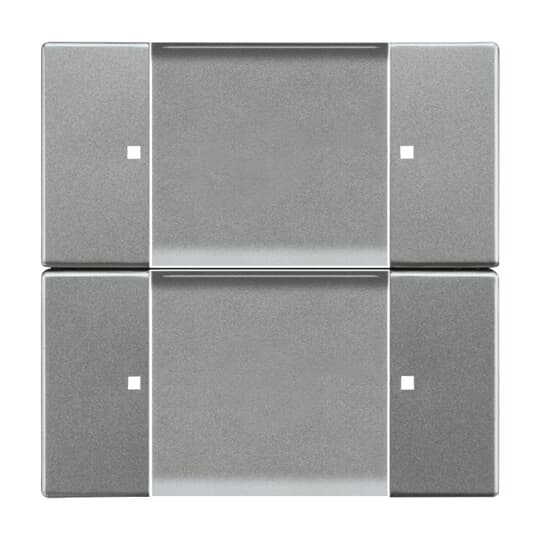 Control Element 2-gang for Switch/dimmer Wireless grey metallic - Platform 63