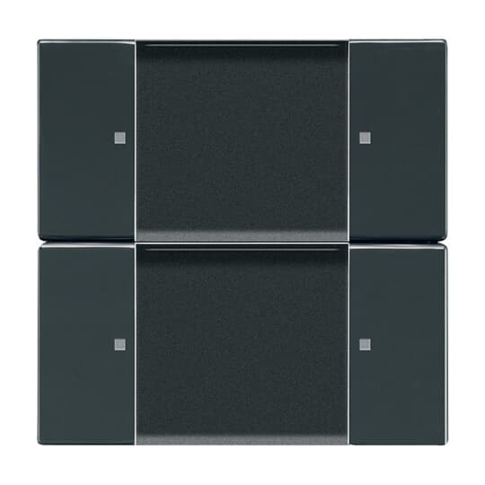 Control Element for Switch/dimmer Zigbee 2gang Radio Control anthracite - 63x63