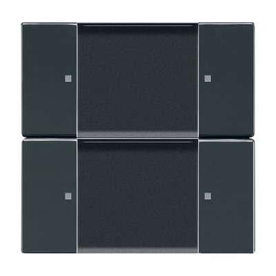 Control Element 2-gang for Switch/dimmer Wireless anthracite - Platform 63