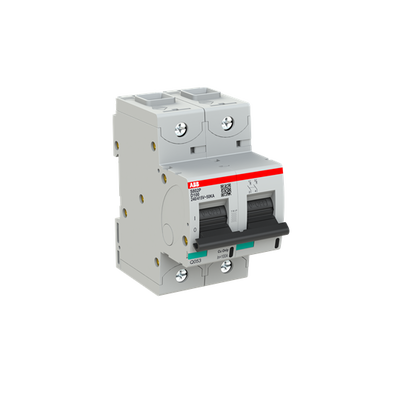 S802P-D100 High Performance Circuit Breaker. D Characteristic. 50kA, 100A, 2P