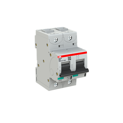 S802P-D80 High Performance Circuit Breaker. D Characteristic. 50kA, 80A, 2P