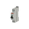 Miniature circuit breaker - 2P - C - 16 A