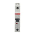 Miniature Circuit Breaker - S200 - 1P - 10 A - D - (AC) 6 kA