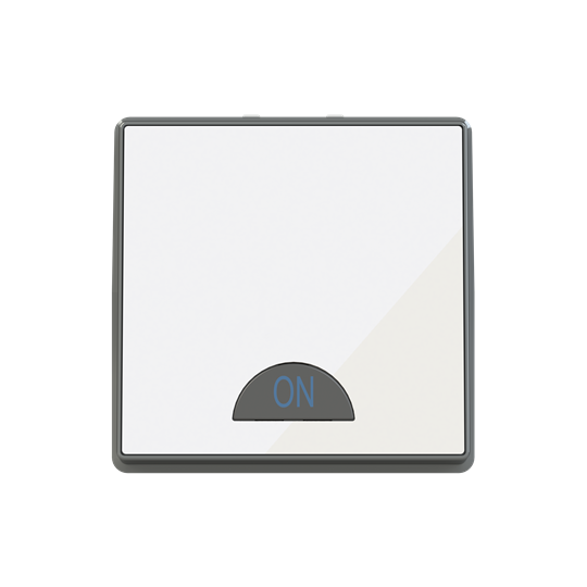 Switch 1-way 2-pole switch White Glass - Millenium