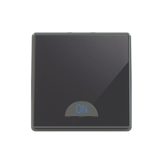 Switch 1-way 2-pole switch Black Glass - Millenium