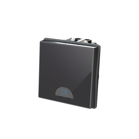 Switch 1-way 2-pole switch Black Glass - Millenium – Görsel 3 / 3