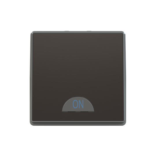Switch 1-way 2-pole switch Silk Black - Millenium