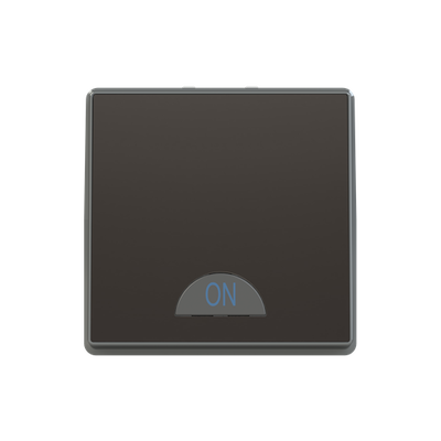 Switch 1-way 2-pole switch Silk Black - Millenium