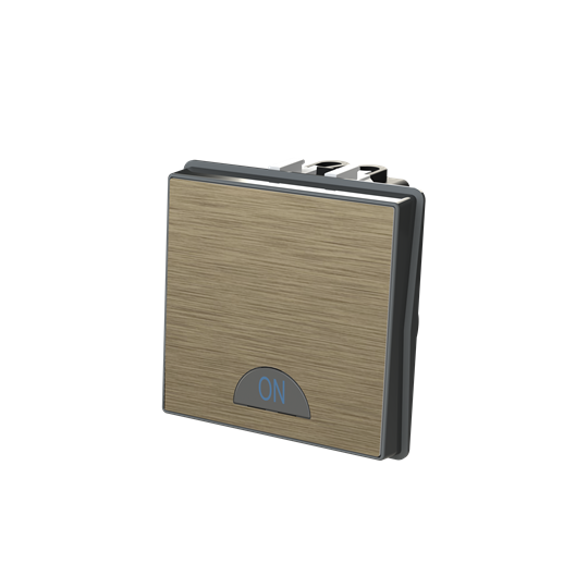Switch 1-way 2-pole switch Antique Gold - Millenium – Görsel 3 / 3