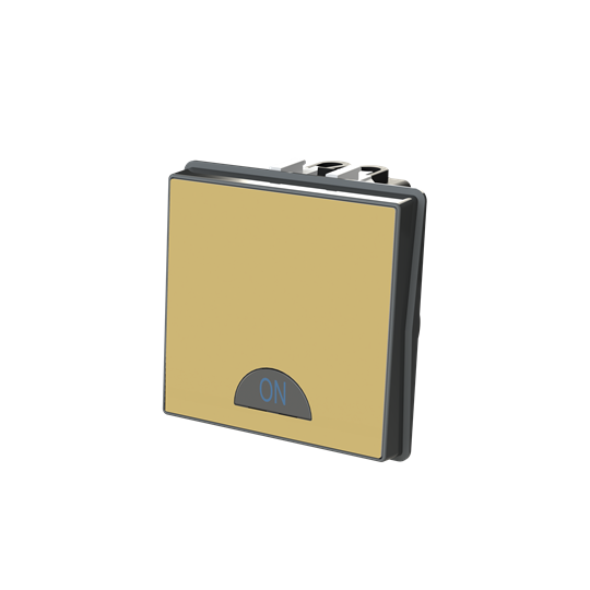 Switch 1-way 2-pole switch Matt Gold - Millenium – Görsel 3 / 3