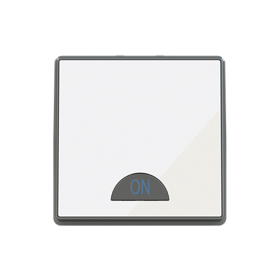 Switch 1-way 2-pole switch White Glass - Millenium