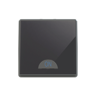 Switch 1-way 2-pole switch Black Glass - Millenium