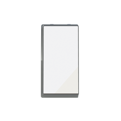 Switch 1-way Off switch 1-pole White Glass - Millenium