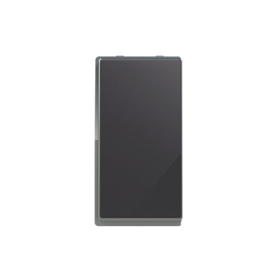Switch 1-way Off switch 1-pole Black Glass - Millenium
