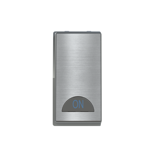 Switch 1-way Double Pole 2-pole switch Stainless steel - Millenium