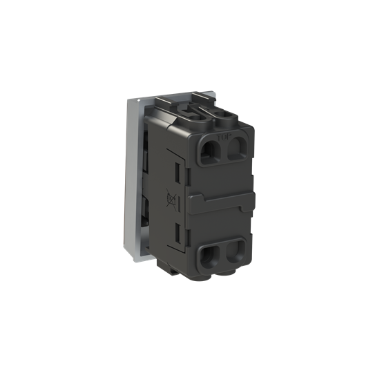 Switch 1-way Double Pole 2-pole switch Stainless steel - Millenium – Görsel 2 / 3