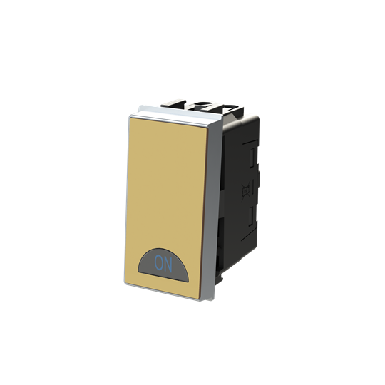 Switch 1-way Double Pole 2-pole switch Matt Gold - Millenium – Görsel 3 / 3