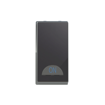 Switch 1-way Double Pole 2-pole switch Black Glass - Millenium
