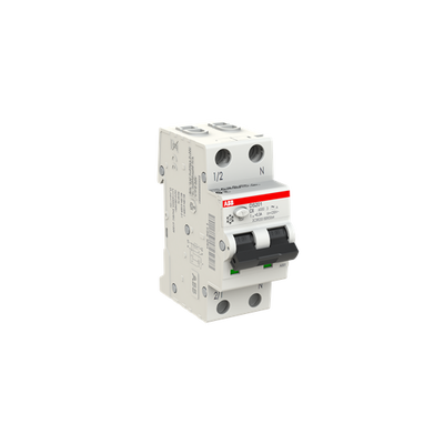 Residual Current Circuit Breaker with Overcurrent Protection DS201 - 1P+N - 300 mA - 6 A - C - Type A