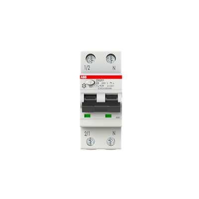Residual Current Circuit Breaker with Overcurrent Protection DS201 - 1P+N - 300 mA - 8 A - C - Type A