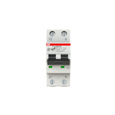 Residual Current Circuit Breaker with Overcurrent Protection DS201 M - 1P+N - 300 mA - 13 A - C - Type AC