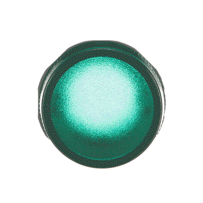 ML1-100G Pilot Light